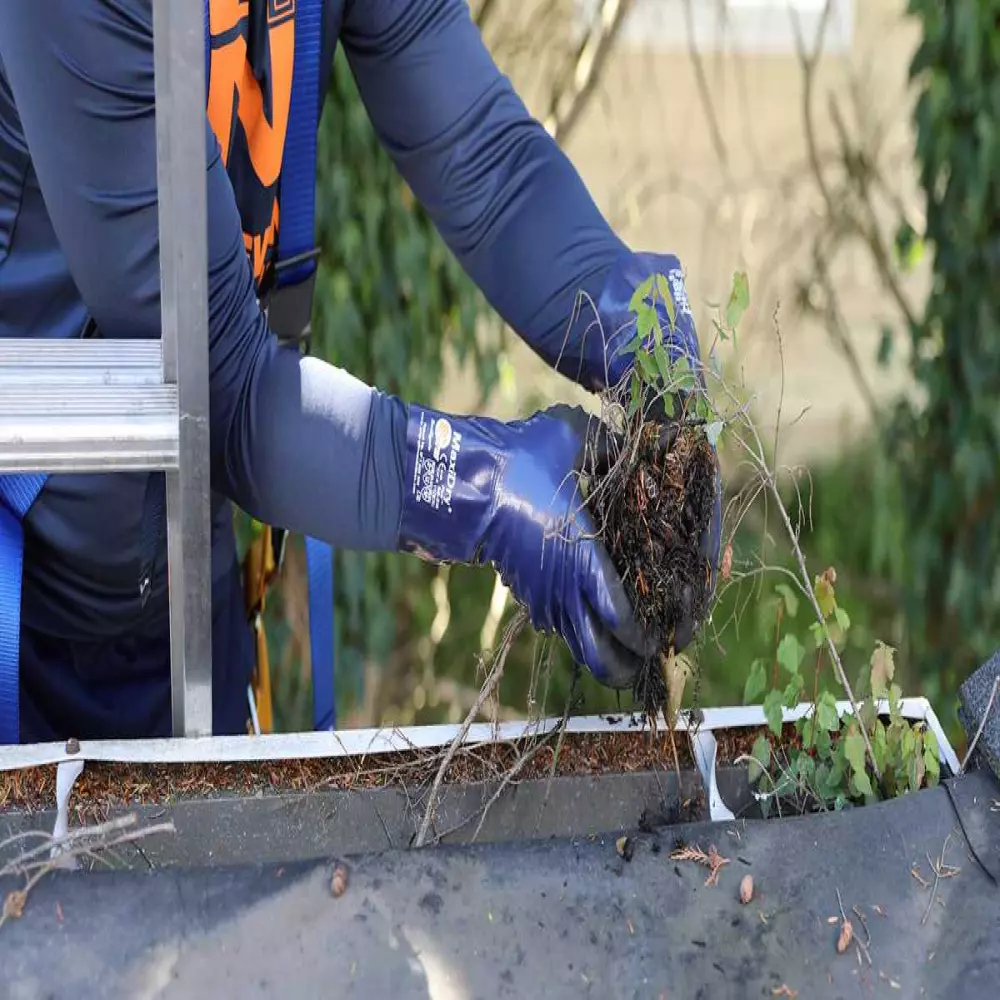 Nettoyage De Gouttières à 29€ Ht/ml + Inspection Toiture Offerte